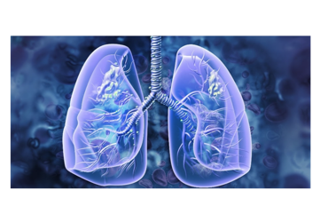 Pharmacist Involvement Improves Drug Adherence for Interstitial Lung ...